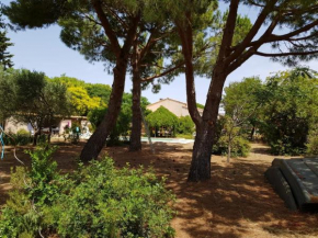 Villa piscine et grand jardin bord de mer